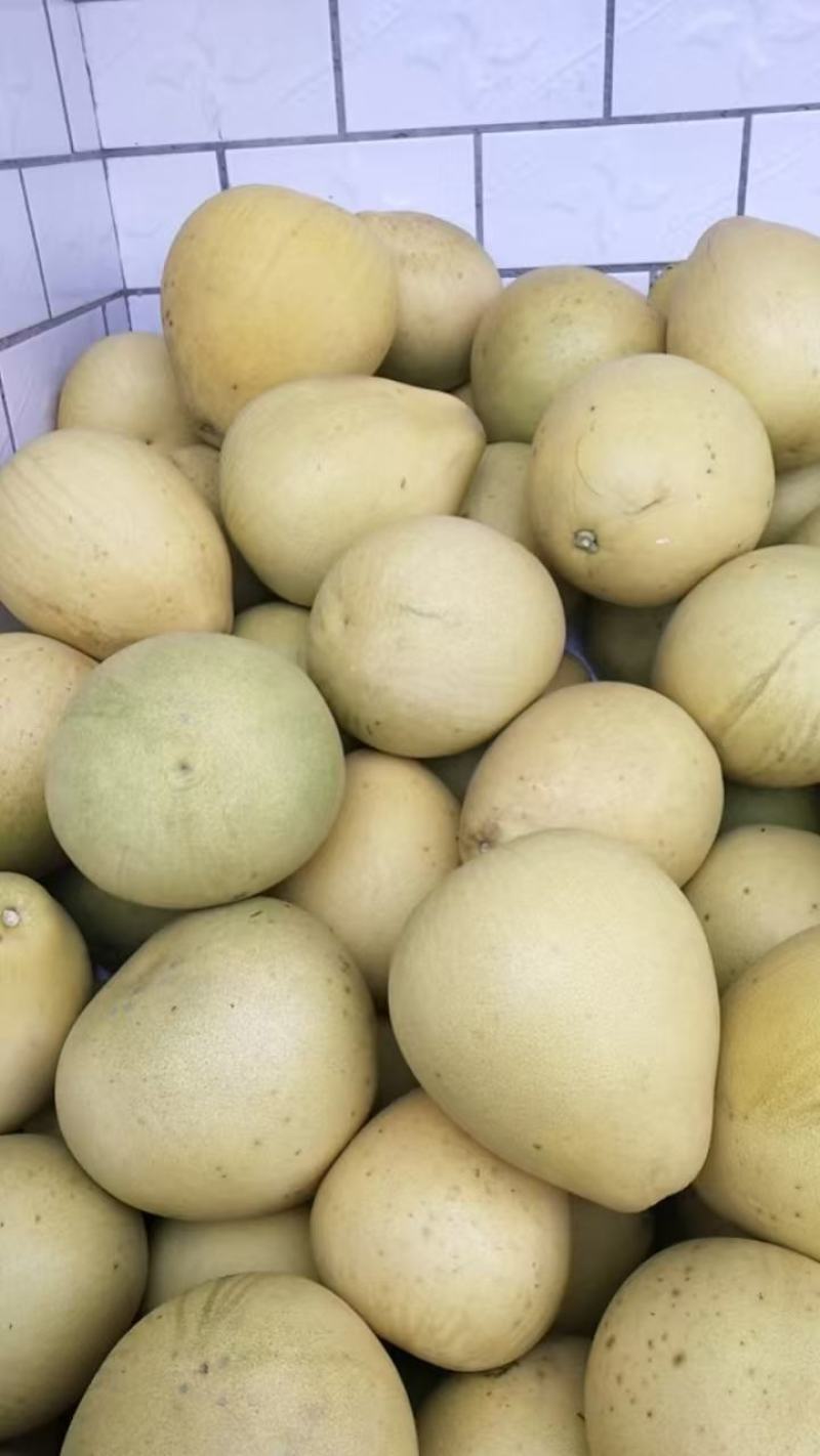 白柚高货（2斤上统货）精品鲜货