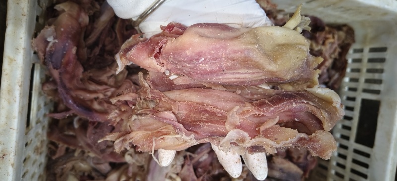 牛鼻须肉
