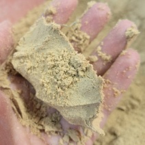 小米糠，可以加工60目脂肪蛋白10/20/26价