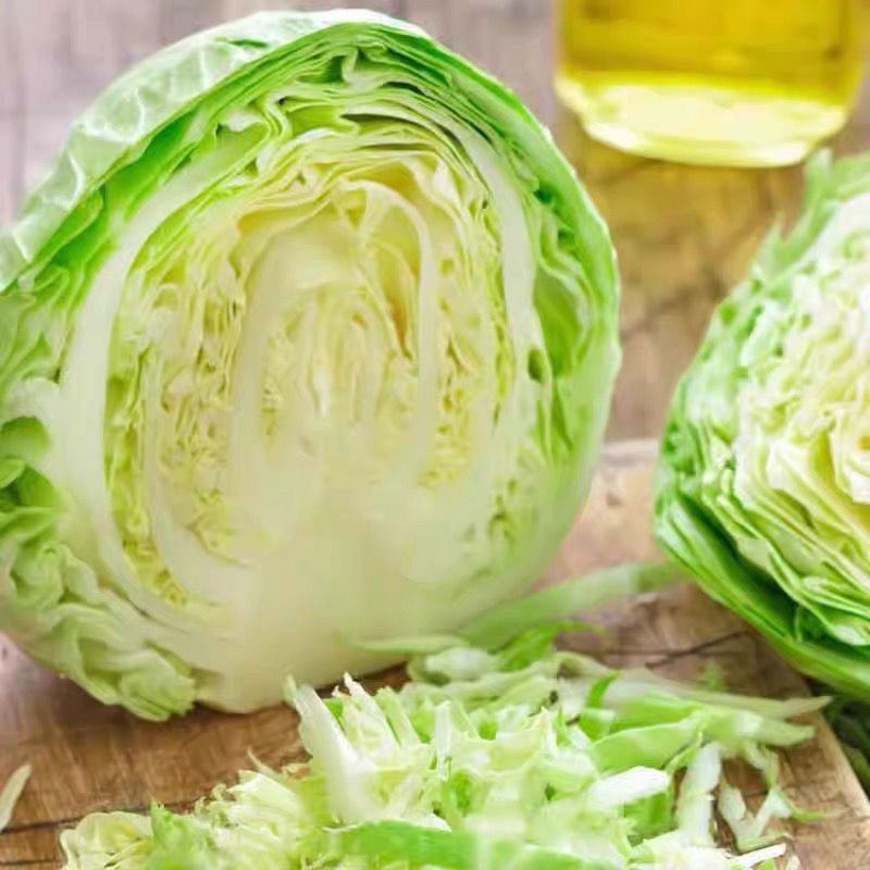 湖北天门甘蓝包菜产地直供大量上市，量大从优，欢迎订购