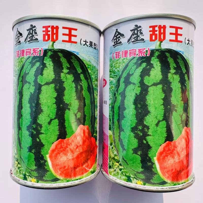 印度甜王西瓜种子菲律宾甜王西瓜种籽高产耐裂大红瓤西瓜种籽