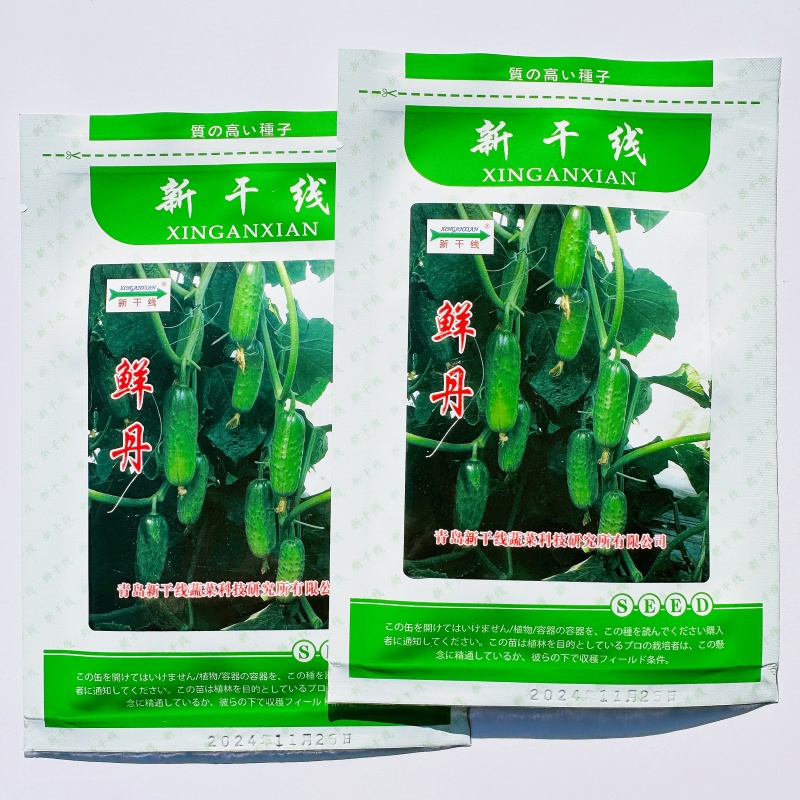 新干线鲜丹黄瓜种子雌性强抗病高产水果黄瓜种子瓜色翠绿