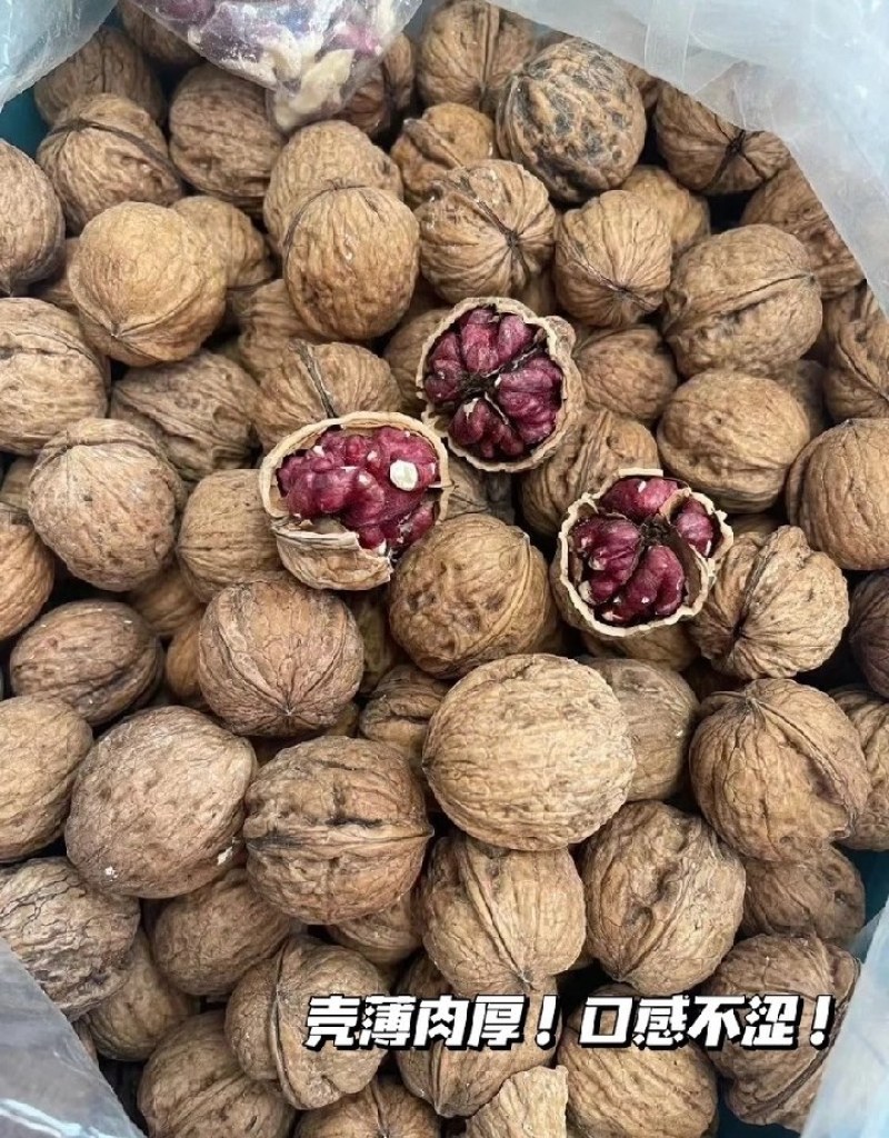 西藏核桃