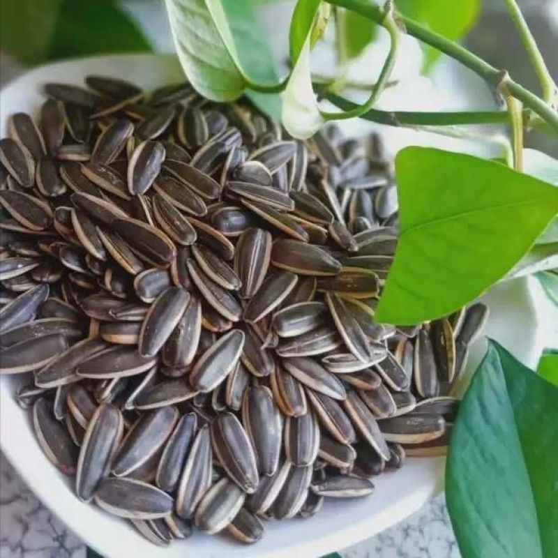【精选】内蒙古优质产区精选葵花籽品质保证大量供应