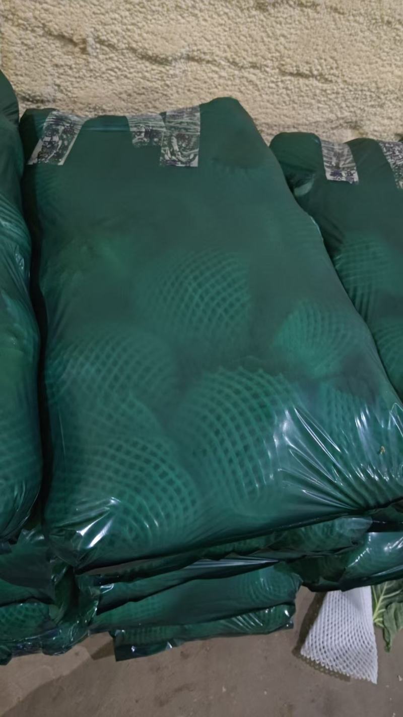 湖北钟祥精品圆甘蓝