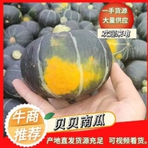 广东湛江贝贝南瓜精品瓜电商瓜大量有货