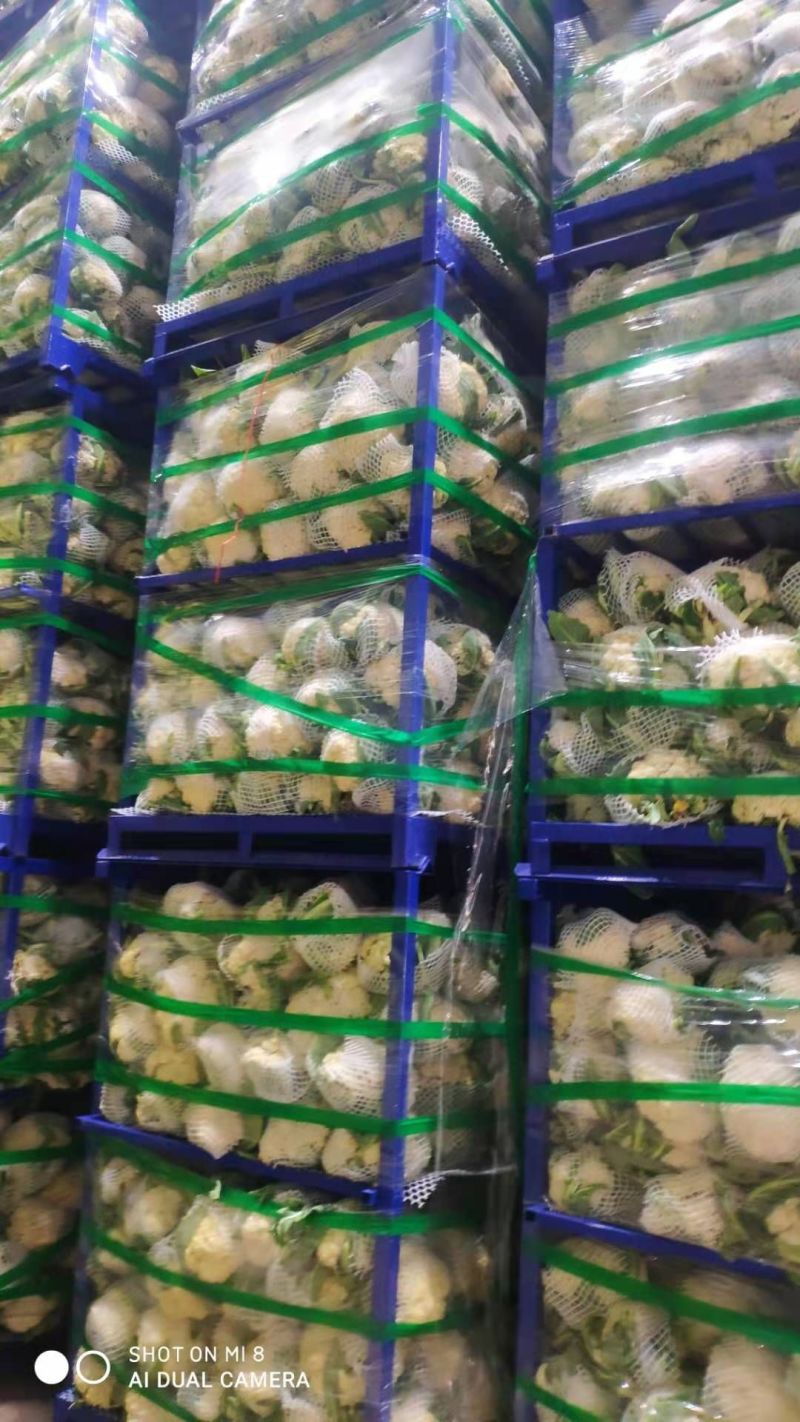 有机松花菜通许有机花白面菜花小米粒商超电商代发全国