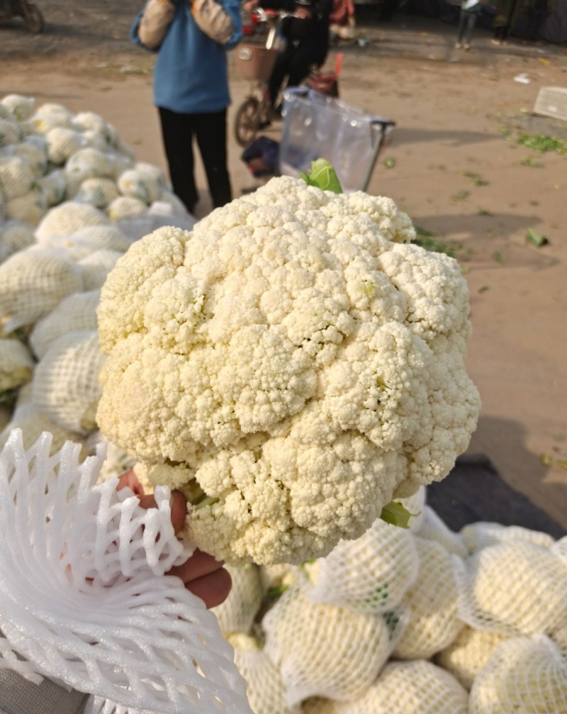 有机松花菜通许有机花白面菜花小米粒商超电商代发全国