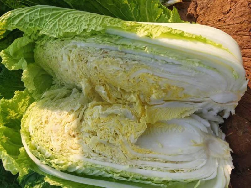 山东省（北京3号)酱菜厂，酸菜厂，加工厂，电商超市**