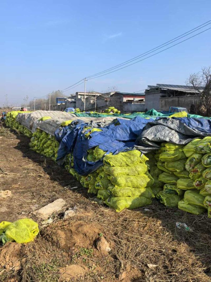 山东省（北京3号)酱菜厂，酸菜厂，加工厂，电商超市**