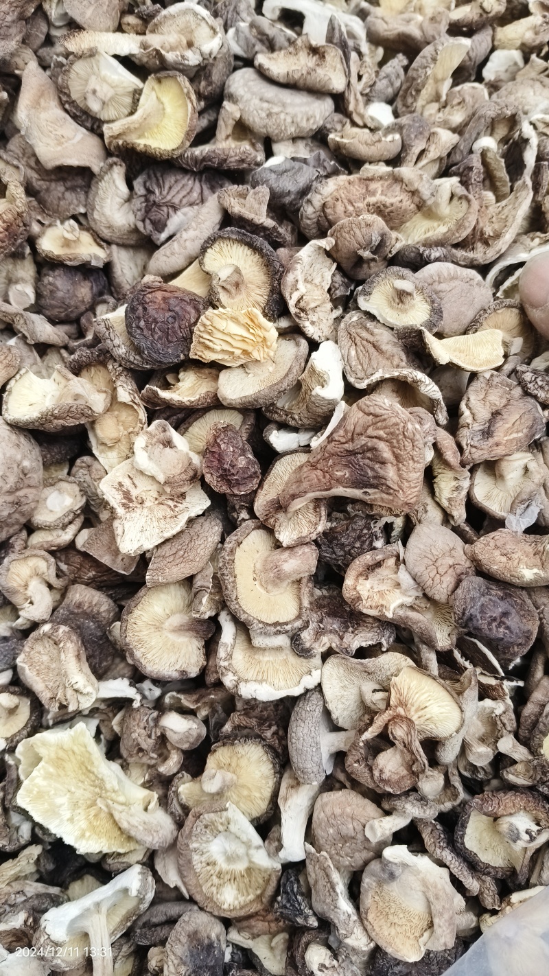 【聚便宜干香菇】产地批发各规格剪脚优质薄菇厚菇大片菜菇