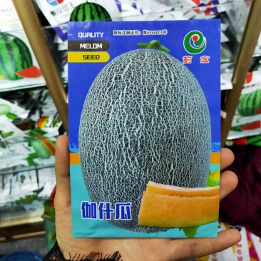哈密瓜甜瓜种子南北方四季种植瓜果种子阳台庭院