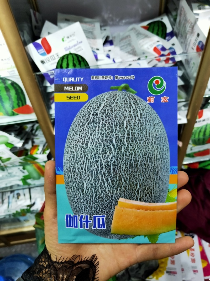 哈密瓜甜瓜种子南北方四季种植瓜果种子阳台庭院