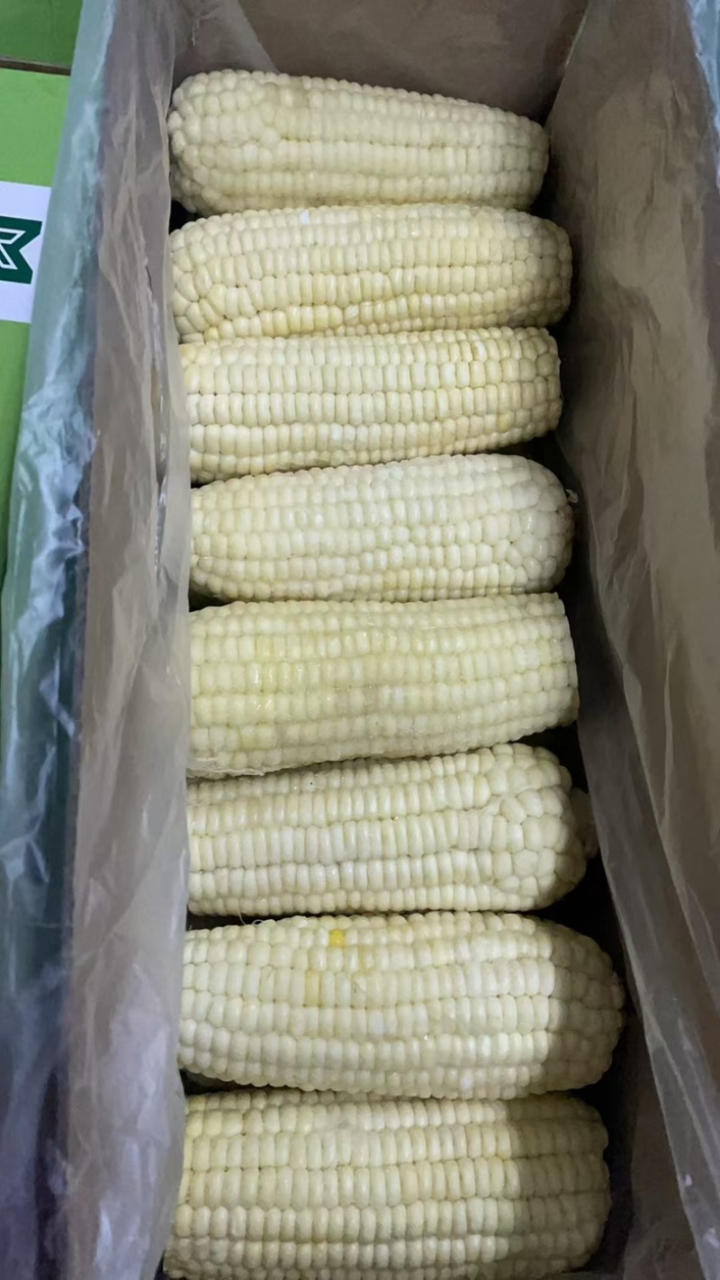 速冻糯玉米厂家直发一手货源价格美丽欢迎致电咨询