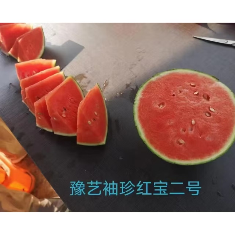 豫艺袖珍红宝二号礼品西瓜种子皮薄少籽早春红玉西瓜种子大红