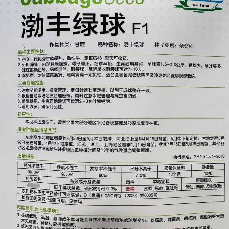 渤丰绿球甘蓝种子杂交一代绿甘蓝卷心菜种子耐裂球包头菜种子