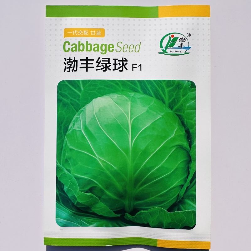 渤丰绿球甘蓝种子杂交一代绿甘蓝卷心菜种子耐裂球包头菜种子