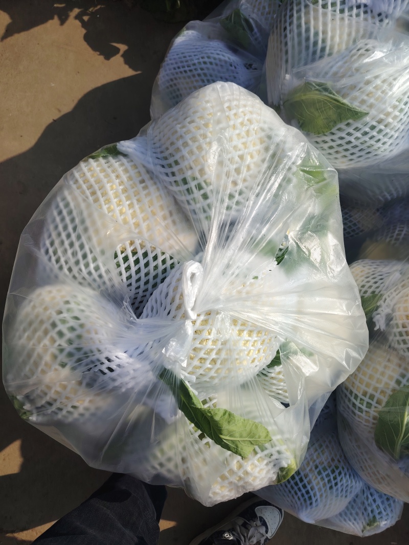 松花菜湖北产地直供代发全国市场可视频拿货看货电联
