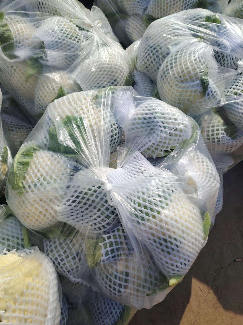 松花菜湖北产地直供代发全国市场可视频拿货看货电联