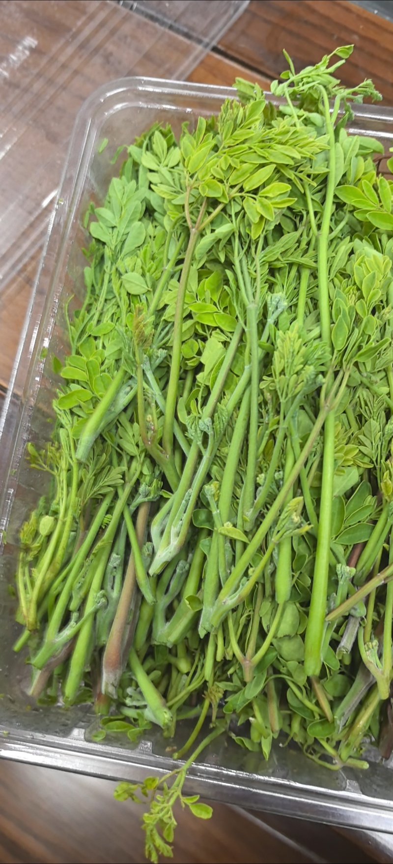 辣木芽（稍）