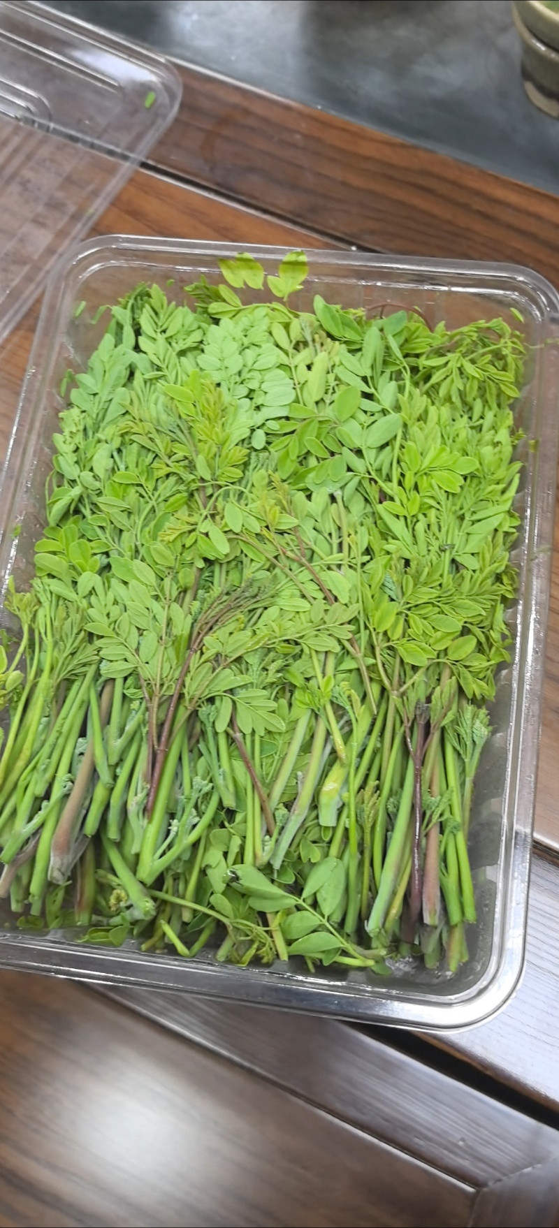 辣木芽（稍）