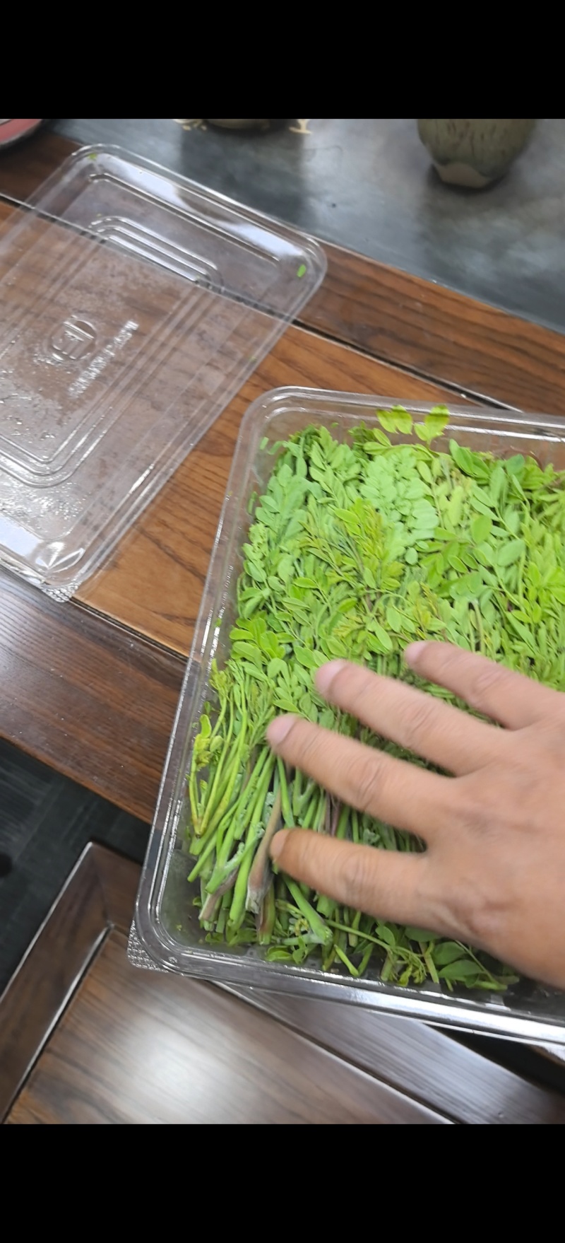 辣木芽（稍）