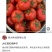 金圣C18大红石头果番茄种子越冬耐寒石头果番茄种子