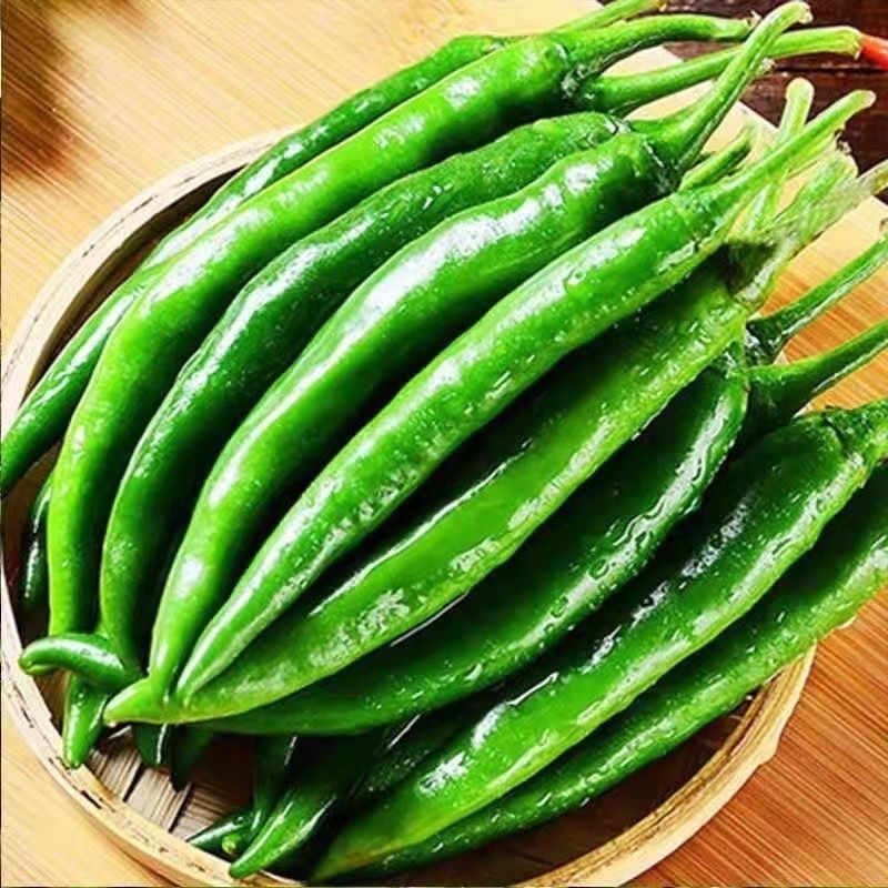 线椒一手货源，价格优惠，大量上市中，欢迎采购