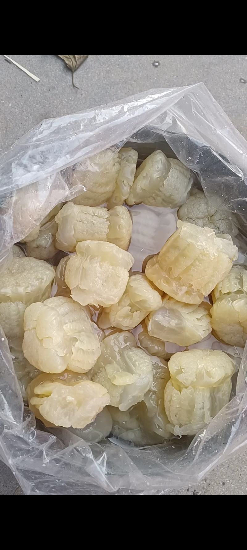 菊花头（精品墨西哥头）山东大批量供货（量大从优）