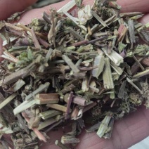 精品新荆芥珠规格批发零售各种规格中药材，产地直发