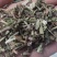 精品新荆芥珠规格批发零售各种规格中药材，产地直发