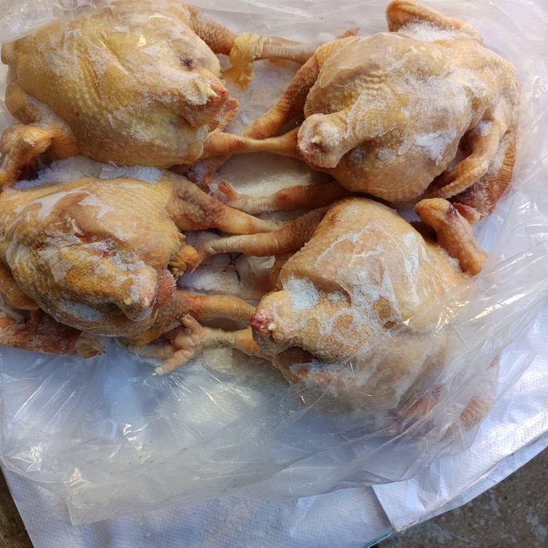 精品种母鸡白条净膛，货源充足产地直发，欢迎采购