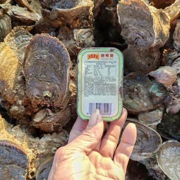 生蚝北海升高产地直发保质保量供货对接全国