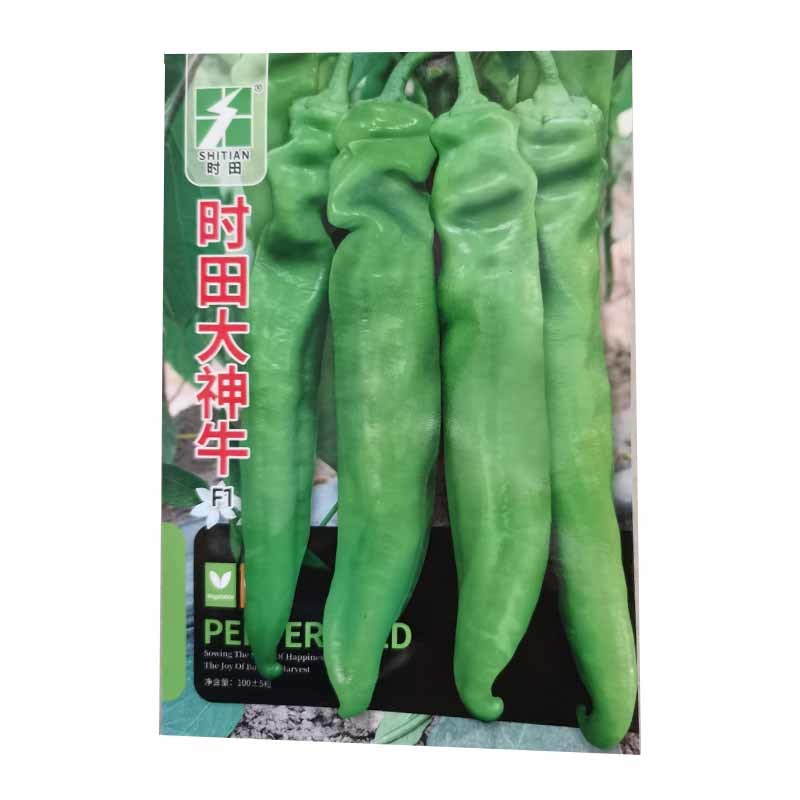 黄皮尖椒种子早优大椒种籽大果型挂果多牛角椒早熟果形美观