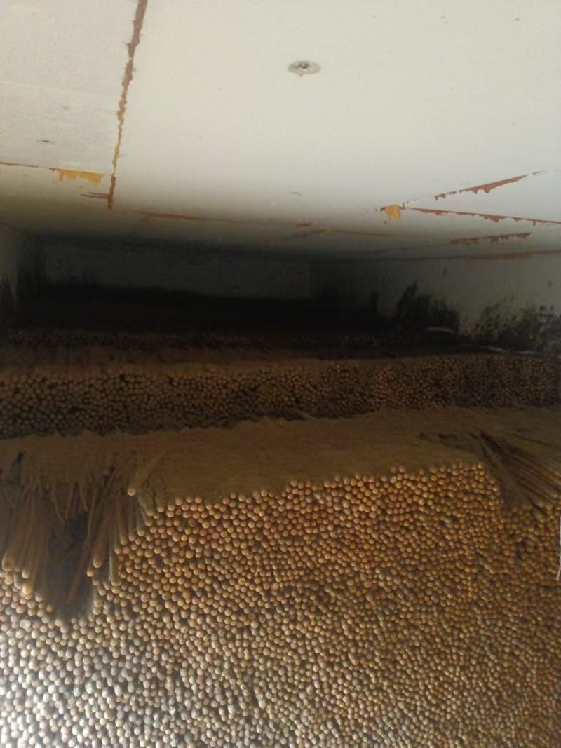 精品双棒山药，大量有货，对接全国市场电商平台
