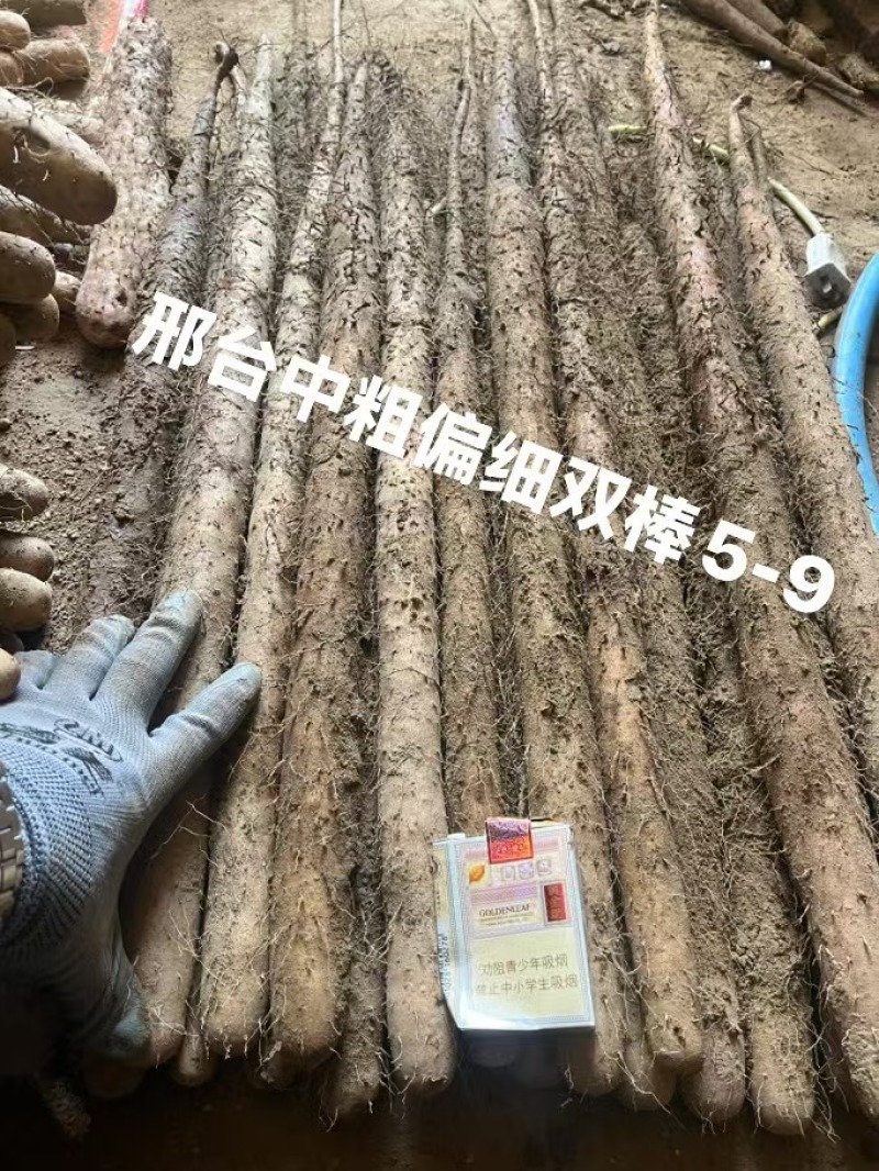 精品双棒山药，大量有货，对接全国市场电商平台