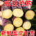 【爆甜】正宗广西黑皮甘蔗新鲜水果10斤当季砍挖超甜1/5