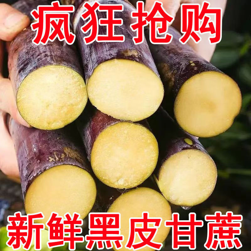 【爆甜】正宗广西黑皮甘蔗新鲜水果10斤当季砍挖超甜1/5