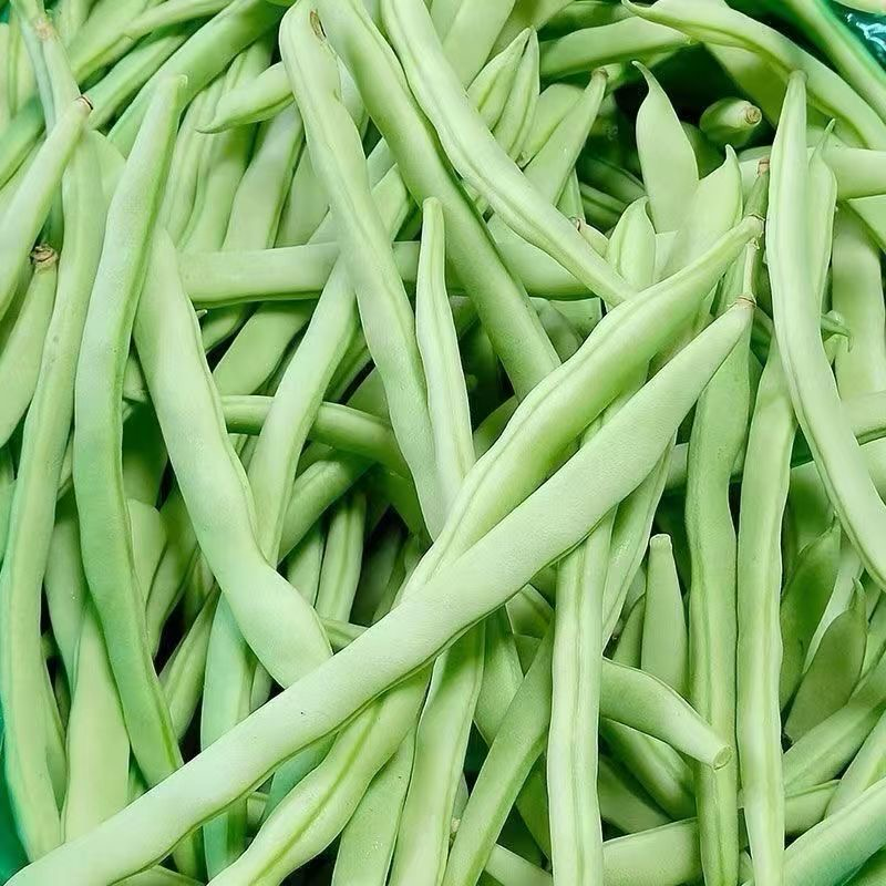 【热卖推荐】芸豆产地直发，一手货源，量大质优欢迎采购