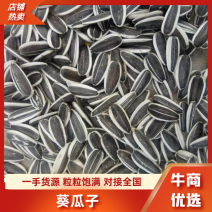 【优选】363葵花籽代发全国量大从优视频看货品质保
