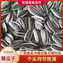 【精选】内蒙古优质产区精选葵花籽品质保证大量供应