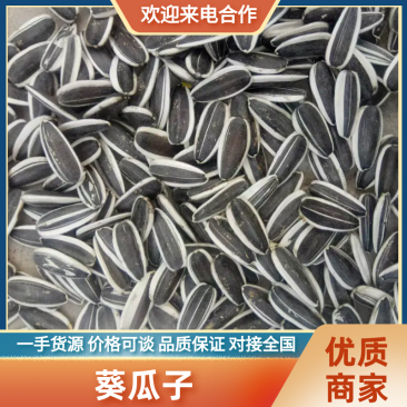 【嘉粒仓9号】内蒙古原产地批发对接电商商超货源充足