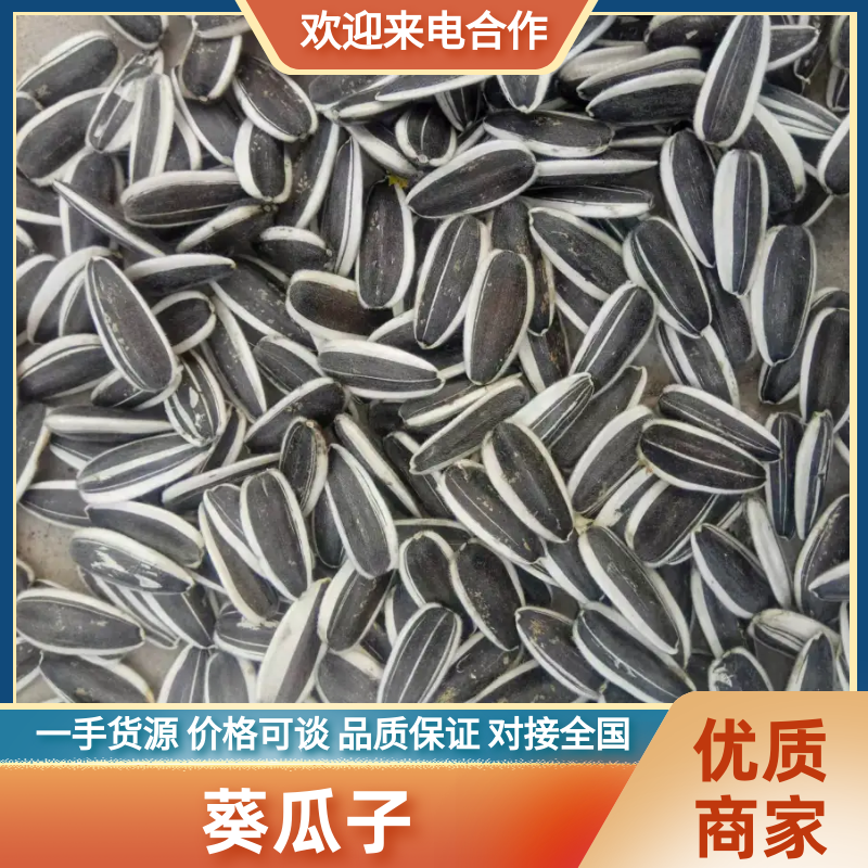 【嘉粒仓9号】内蒙古原产地批发对接电商商超货源充足