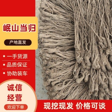 【品质保障】甘肃岷山当归产地直发量大优惠欢迎来电咨询