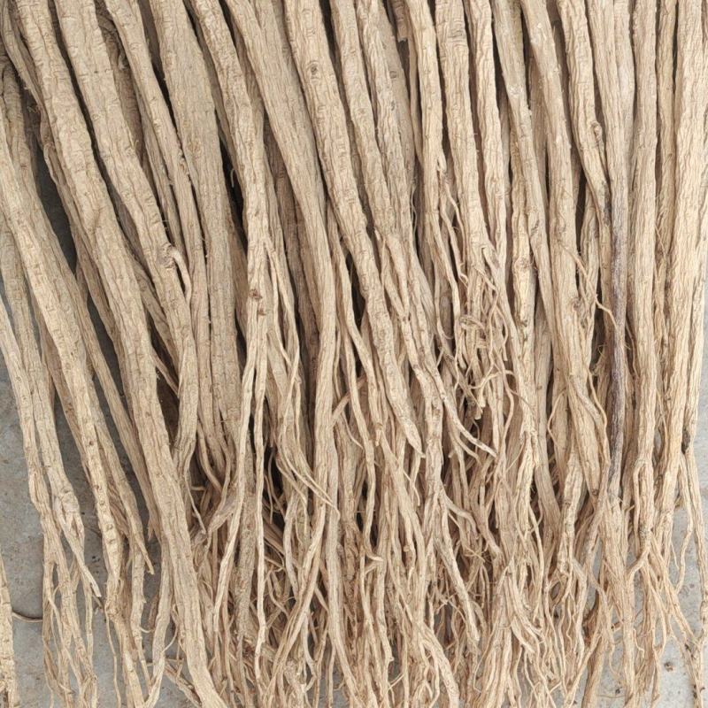 【精品】甘肃岷山当归品质保障量大优惠产地直发