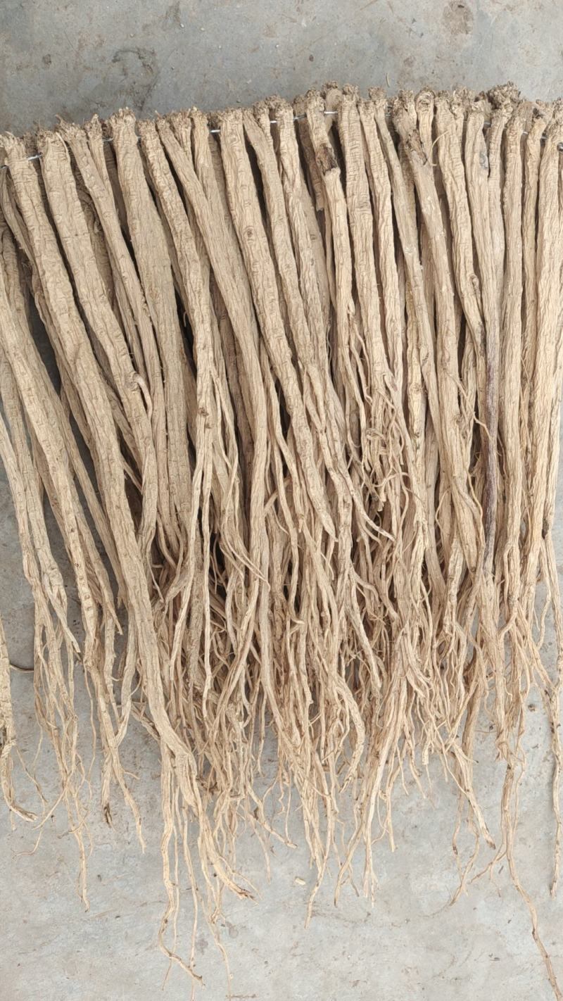 【精品】甘肃岷山当归品质保障量大优惠产地直发