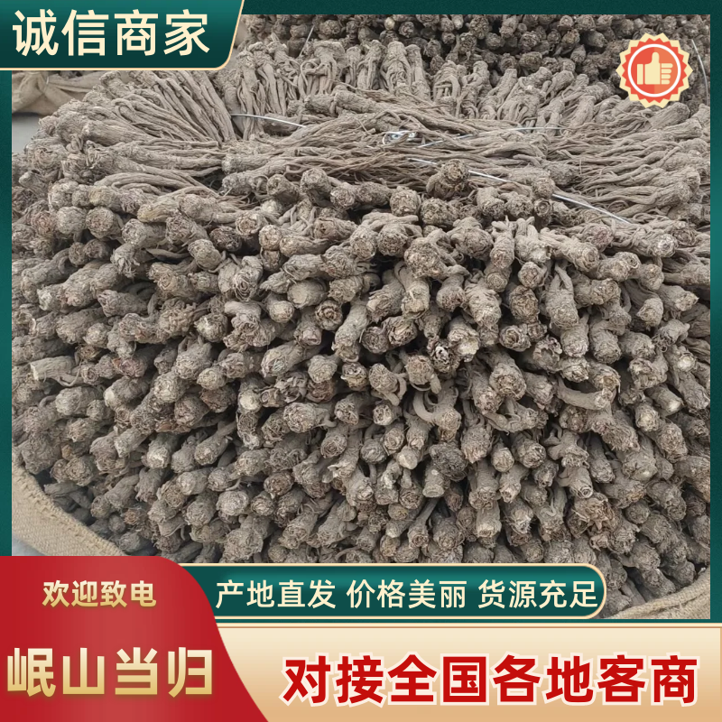 【精品】甘肃岷山当归品质保障量大优惠产地直发