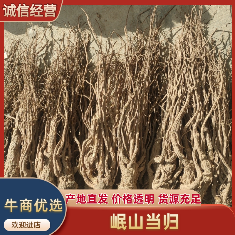 【精品】甘肃岷山当归品质保障量大优惠产地直发