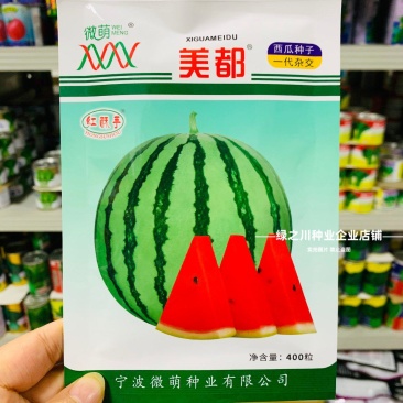 宁波微萌美都西瓜种子正宗桃红瓤美都西瓜种籽中熟甜而多汁