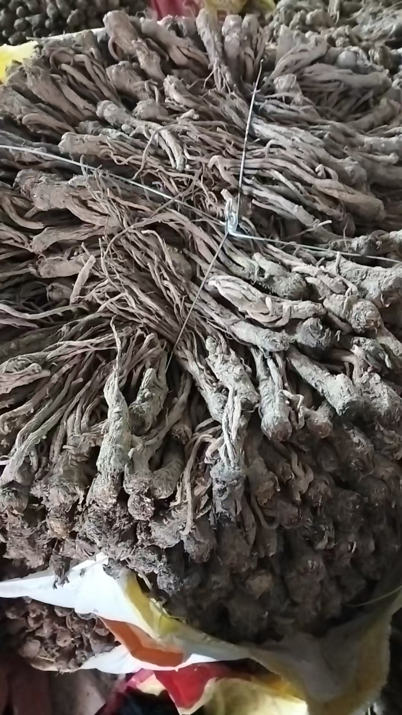 当归
